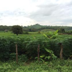 Banlung