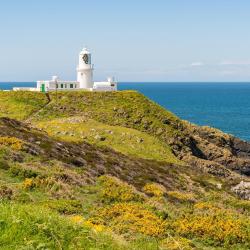 Goodwick 19 pet-friendly hotels