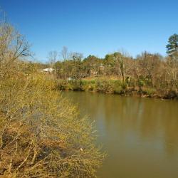 Phenix City 16 hotels