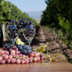 Rochegude 10&nbsp;h&ocirc;tels avec piscine