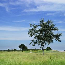 布莱 4家带热水浴缸的酒店
