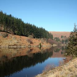 Rhayader 10 B&Bs