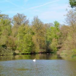 Virginia Water 4 vacation homes