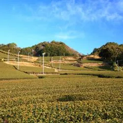 牧之原市 ホテル8軒