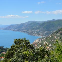 Pieve Ligure 14 apartments