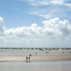 Beauvoir-sur-Mer 3 bed & breakfast