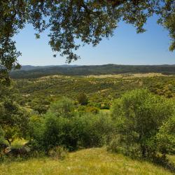 Higuera de la Sierra 15 hotels