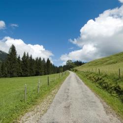 Бицау 21 hotels with parking