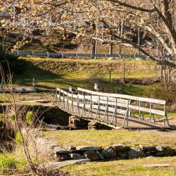 Middleboro 4 hotels