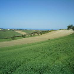 Monternero di Bizača 29 viešbučiai