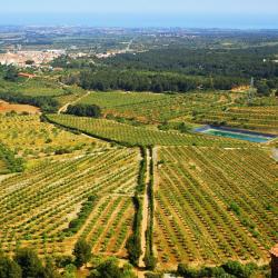 Gandesa 5 hoteles baratos