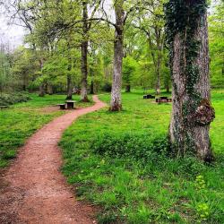 Cinderford 16 pet-friendly hotels