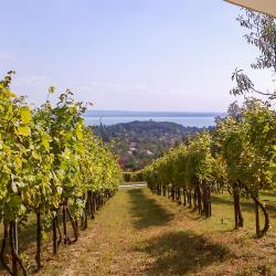 &Aacute;brah&aacute;mhegy 5 hot&eacute;is na praia