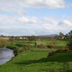 Boyle 9 of the cottages