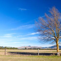 Rangiora 4 motel