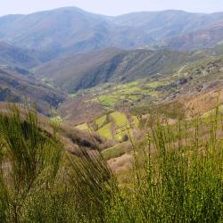 A Pontenova 14 Unterkünfte