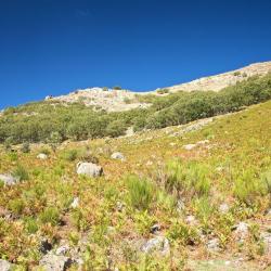 Cuevas del Valle 7 cottages