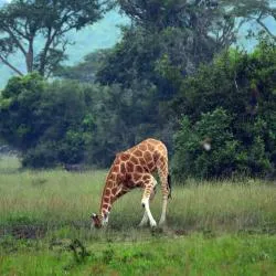 Mbarara 17軒の格安ホテル