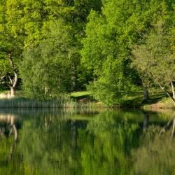 Clearwell 6 pet-friendly hotels