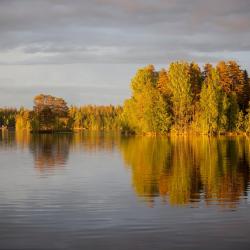 Äänekoski 4 holiday homes