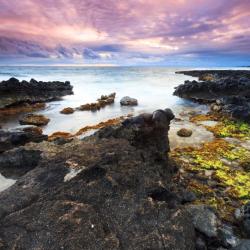 Koloa 307 hotels