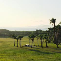 Eluan 82 hotels