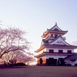 Tateyama 4 guest houses