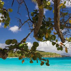 St Thomas