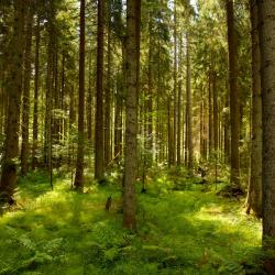 Abenberg 4 ξενοδοχεία με πάρκινγκ