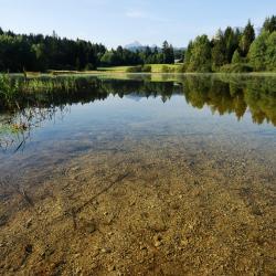 Laichingen 3軒のヴィラ