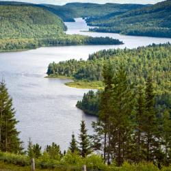 Shawinigan 5 B&Bs