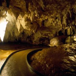 Waitomo Caves 3 bed and breakfast