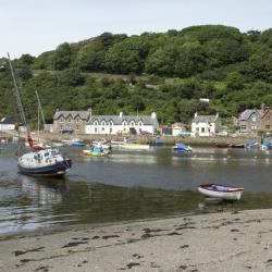 Fishguard 42 pet-friendly hotels