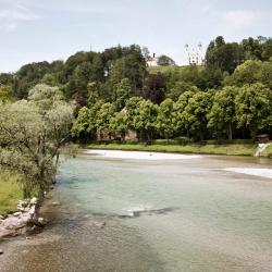 Zeltingen-Rachtig 3 guest houses