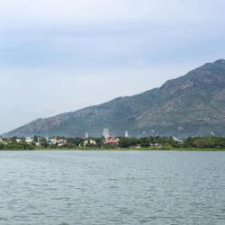 Tiruvannamalai 36 of the guest houses