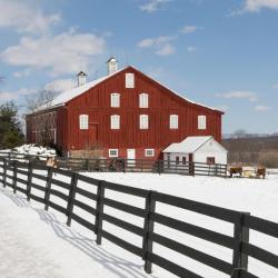 ベッドフォード ホテル13軒