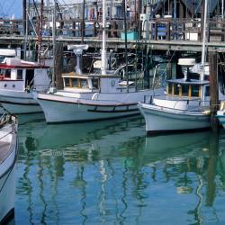 Webster 27 hoteller