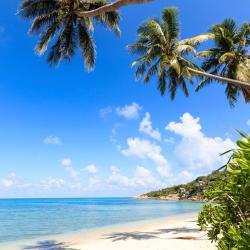 Ko Ngai 11 beach hotels