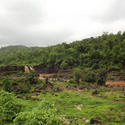 Saputara 3 pet-friendly hotels