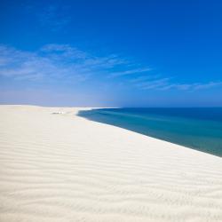 Mesaieed 4 hotels