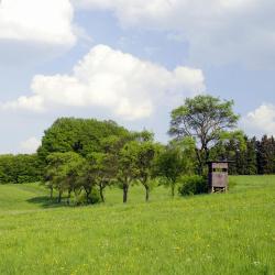 Friedrichsdorf 13 hotelov