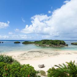 Iriomote 20 hotels