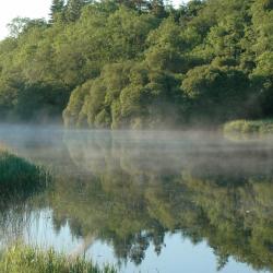 Foxford 5 of the homestays