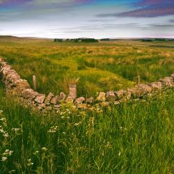 Coxhoe Nastanitve z opremo za kuhanje (3)