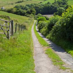 Tiverton 3 glamping sites