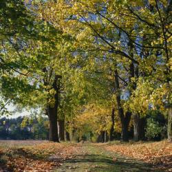 Reda 48 self catering accommodation