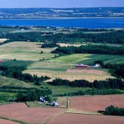 Canning 1 viesnīca