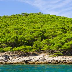 Biograd na Moru 30 guest houses