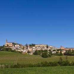 Vignale Monferrato 15 pet-friendly hotels