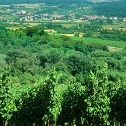 Hambach 4 hot&eacute;is com estacionamento